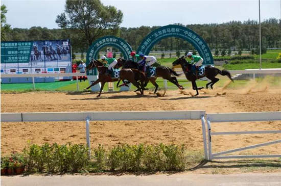 2017-2018玉龙马会中国速度赛马常规赛赛事规则概要13.jpg