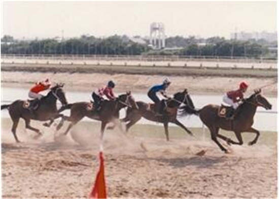 深圳曾拥有中国内地最早的跑马场 就在香蜜湖一带