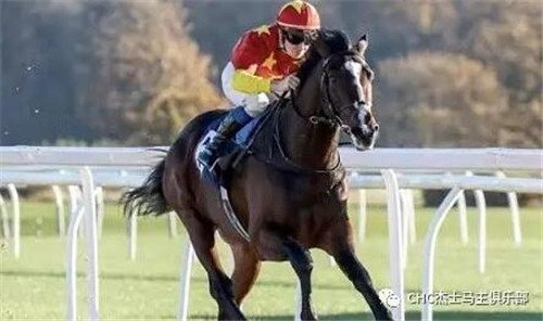 与英女王赛马同场竞技:CHC旗下“指挥官”惜败女王赛驹获亚军9.jpg