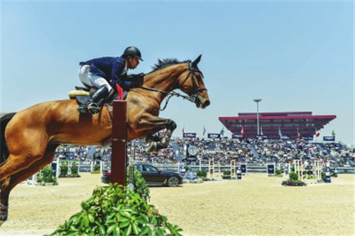 上海马术冠军赛观众逾两万 已成为景观体育代表作