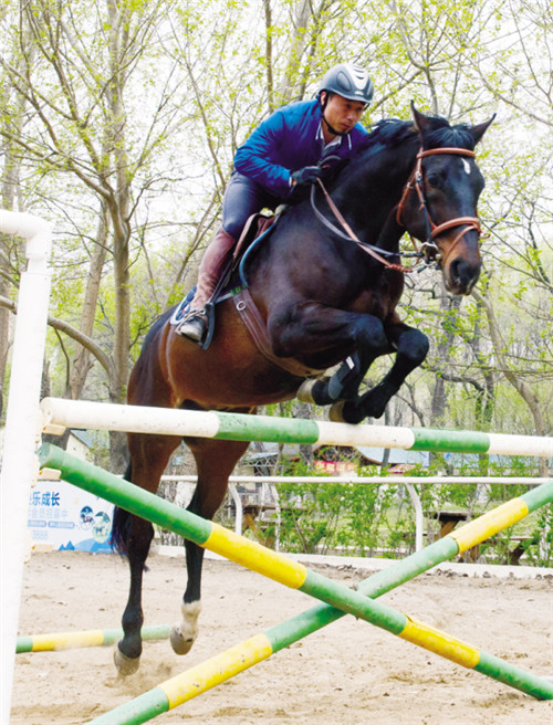 沈阳在“一河两岸”打造马文化体验馆 未来或打造马文化节
