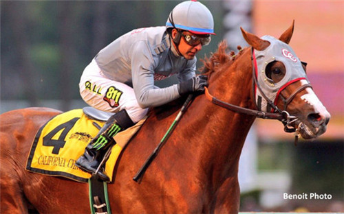 resized_California_Chrome_horse_photo.jpg