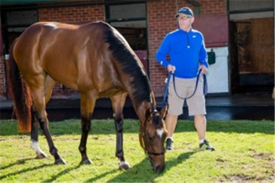 m_Elite-Horsepower-Stable-Media-Call--03-11-2015-Lankan_Rupee-Mick_Price_2.jpg