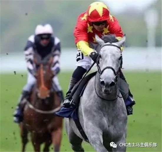 CHC旗下赛驹上周美国、澳大利亚、英国夺四冠一亚【视频】6.png