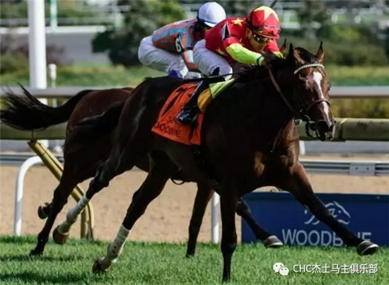 CHC旗下赛驹上周美国、澳大利亚、英国夺四冠一亚【视频】7.png