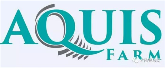 雅士牧场AQUIS种公马队伍迎来“大咖”加盟:2016考菲尔德坚尼赛冠军1.jpg