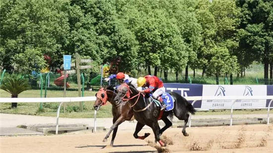 武汉“一带一路”主题赛马日:“天意、绿茵天地、东兴精神”各摘一冠2.jpg