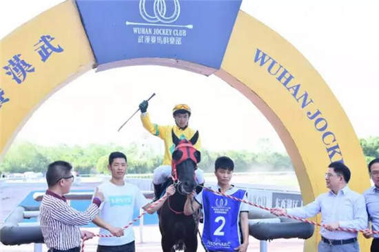 武汉“一带一路”主题赛马日:“天意、绿茵天地、东兴精神”各摘一冠10.jpg