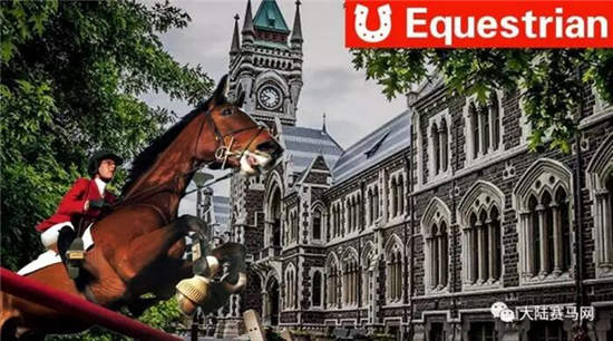 马术优秀运动员免试上大学是真的!这几个骑手有资格没申请1.jpg