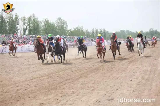3600米马友联谊赛.jpg