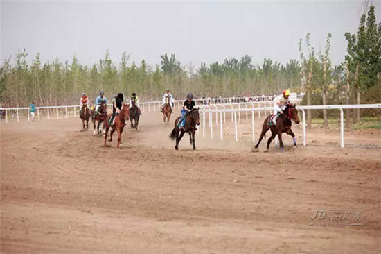 15公里速度赛马公开赛.jpg