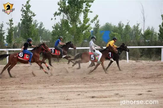 15公里速度赛马公开赛1.jpg