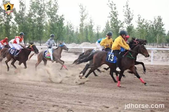 5000米两周岁马公开赛:2.jpg