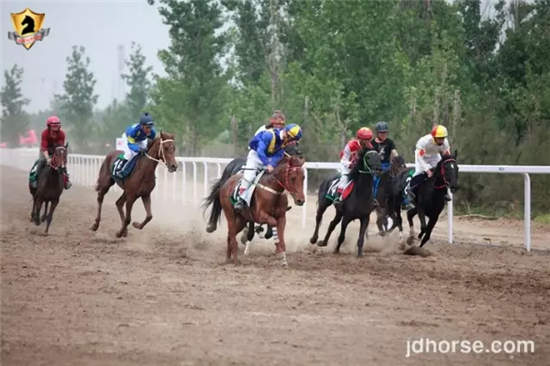 10000米速度赛马公开赛B组1.jpg