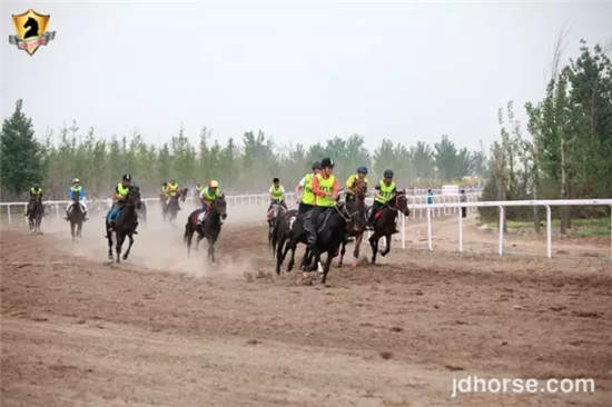 15公里马主赛.jpg