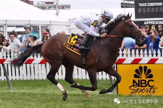 CHC旗下赛驹“优仕达”携“白色猎人”分别在美国、新加坡夺冠3.jpg