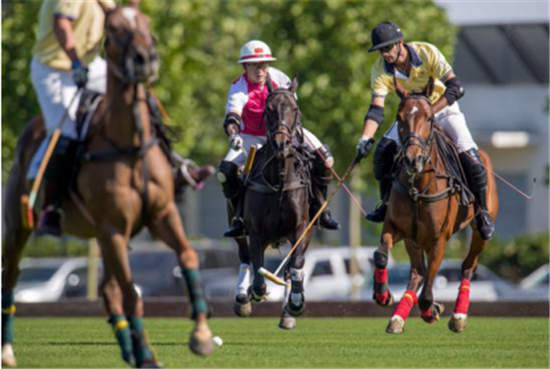 紫懿控股冠名世界三大烧钱体育赛事