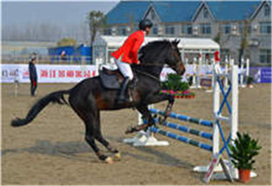 2017上海青少年马术锦标赛将于6月举行