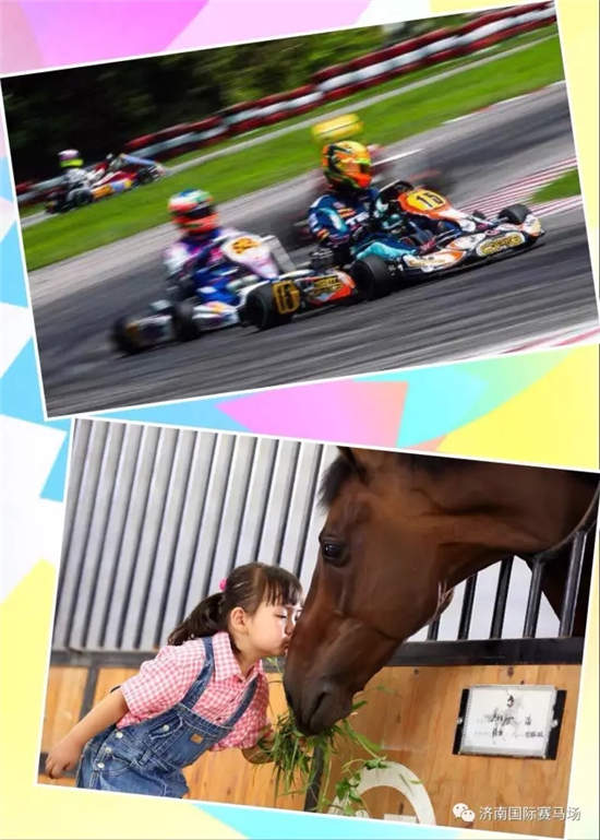 优酷体育全程视频直播“青马乐园三城马术儿童节”(济南·沈阳·北京)3.webp.jpg