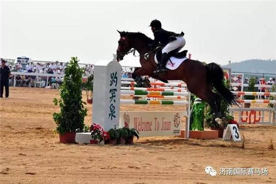 山东济南首办全国马术绕桶巡回赛:6月3日开赛,奖金30万9.jpg