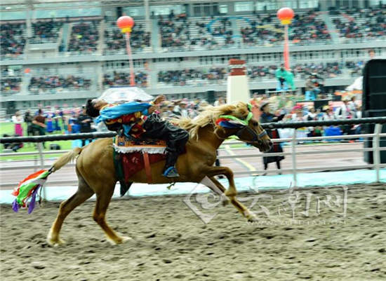 香格里拉传统赛马节盛装启幕 尽展康巴文化盛宴4.jpg