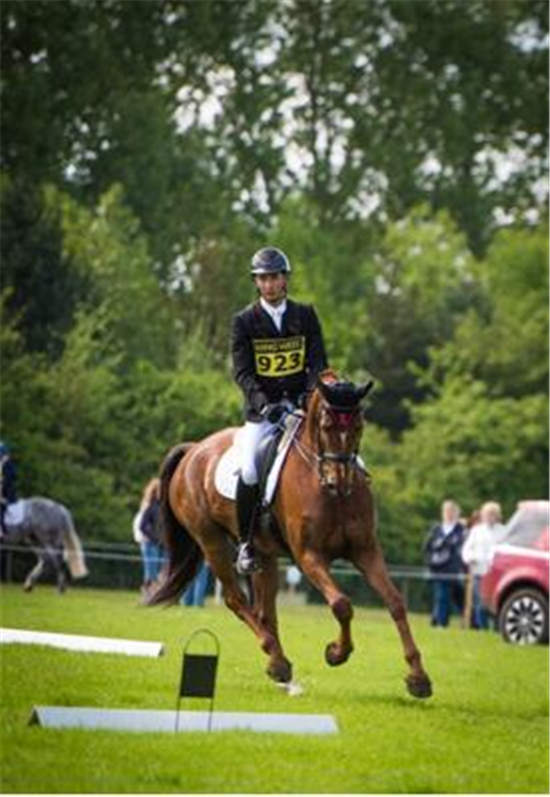 奥运骑士华天再战赛场 夺盛装舞步赛头名2.jpg