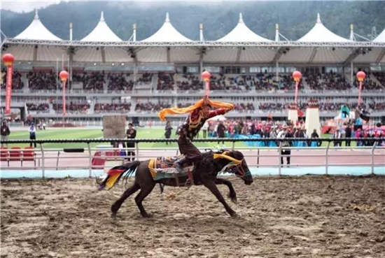 香格里拉传统赛马节
：展示传统文化 促进民族团结