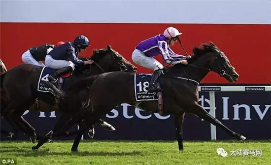 世界打吡鼻祖冠军爆大冷!英女王现场见证40-1赔率法国赛马横空出世.webp (4).jpg