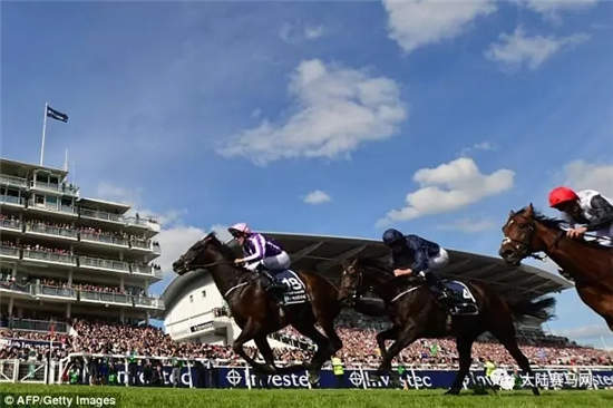 世界打吡鼻祖冠军爆大冷!英女王现场见证40-1赔率法国赛马横空出世.webp (5).jpg