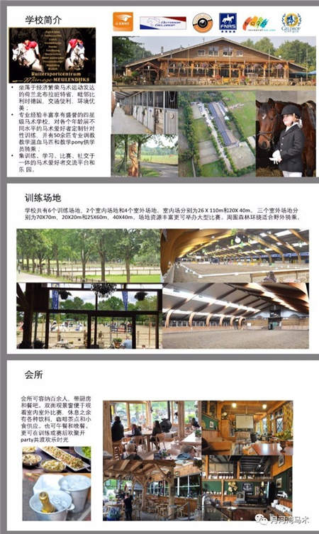 中联骑士联盟2017荷兰马术夏令营开始报名啦�！