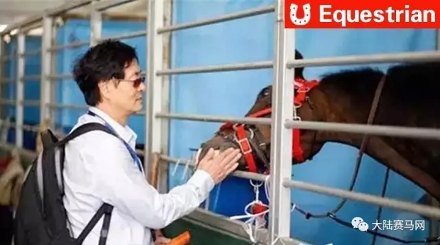 濮存昕受聘成为大学“马教授”�
：马的性格也是我的性格
！