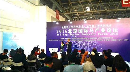 选择CHF 2017�，把握未来18个月的中国马产业市场