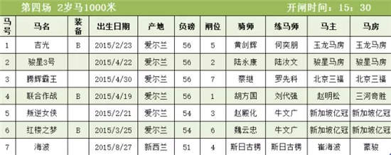 玉龙国际赛马公开赛开锣之战倒计时2天!.webp (3).jpg