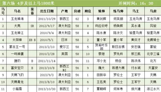 玉龙国际赛马公开赛开锣之战倒计时2天!.webp (5).jpg