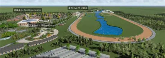 玉龙国际赛马公开赛开锣之战倒计时2天!.webp (6).jpg