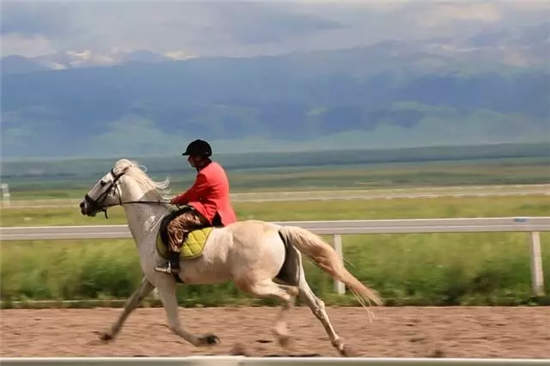 2017中国速度赛马大奖赛(昭苏站)6月24日激情开赛.webp (8).jpg