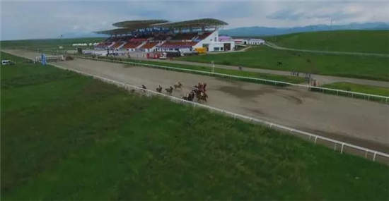 2017中国速度赛马大奖赛(昭苏站)6月24日激情开赛.webp (13).jpg