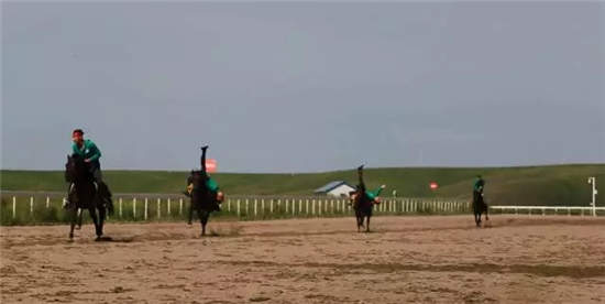 2017中国速度赛马大奖赛(昭苏站)6月24日激情开赛.webp (11).jpg