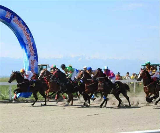 2017中国速度赛马大奖赛(昭苏站)6月24日激情开赛.webp (12).jpg