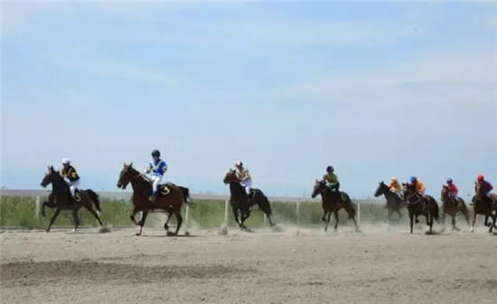 2017中国速度赛马大奖赛(昭苏站)6月24日激情开赛.webp (17).jpg