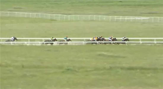 2017中国速度赛马大奖赛(昭苏站)6月24日激情开赛.webp (14).jpg