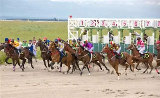 2017中国速度赛马大奖赛(昭苏站)6月24日激情开赛.webp (18).jpg