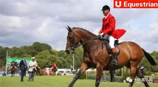 110年历史的英国皇家马展即将开幕：看骏马跳跃	，赏美女如云