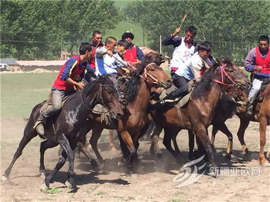 特克斯县
�：马背上的文化大餐趣味浓
