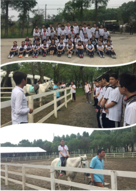 金卫中学学生参加马术体验课程