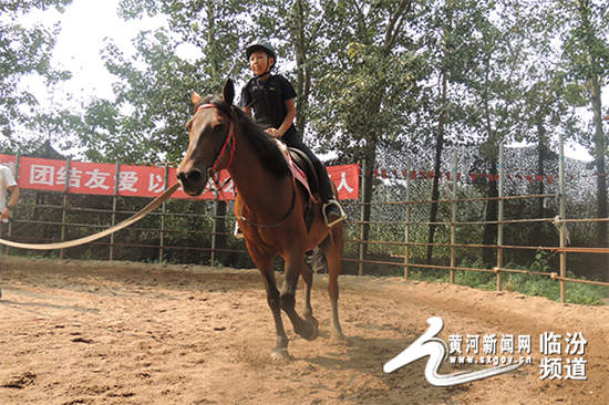 襄汾天马俱乐部 骑马爱好的好去处