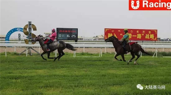 科右中旗牧民策骑改良马参加专业赛事
：感受上颁奖台的荣耀