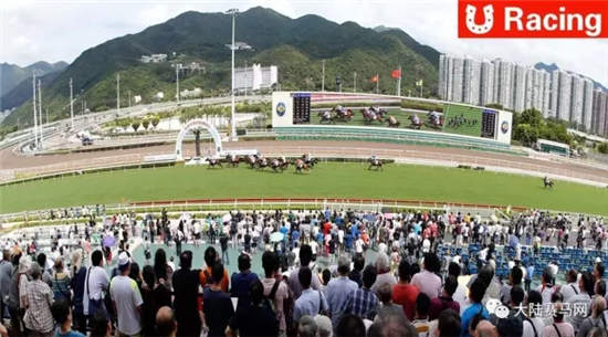 香港赛马下季奖金高达11.6亿
：三个途程赛事全球奖金最高