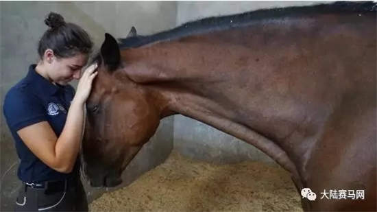 国际骑手来中国参加马术夏令营:浪琴表世界马术学院开先河.webp (7).jpg