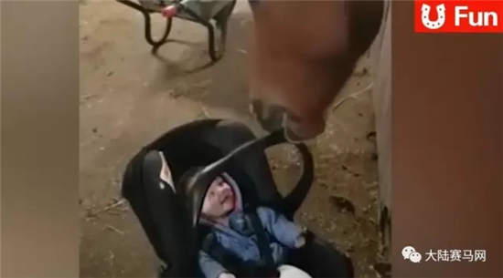 马儿变身“哄娃高手”：瞬间逗笑哭闹宝宝